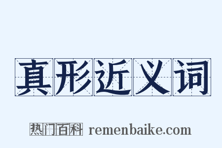 真形近义词是什么意思的图片